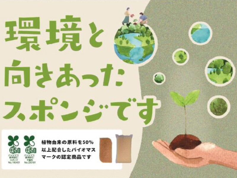 Biomass-based products and packaging