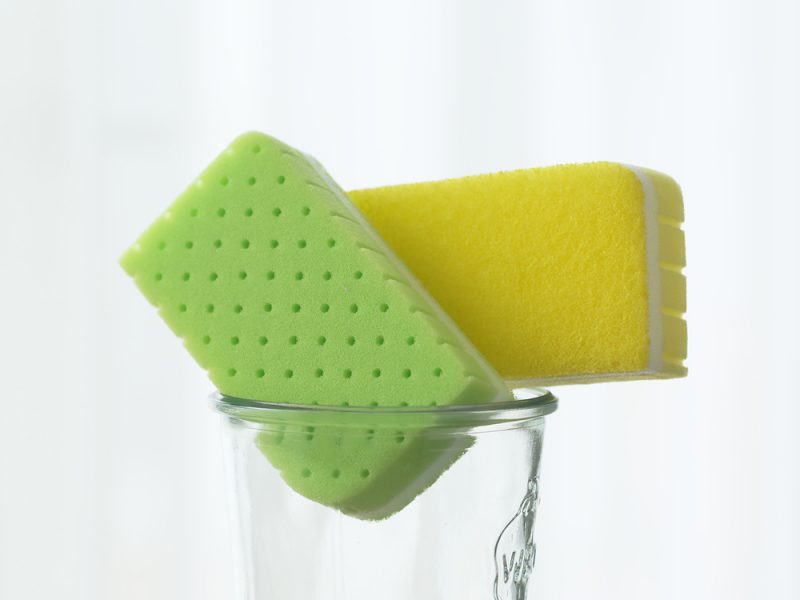 Awadatsu Sponge (Classic)