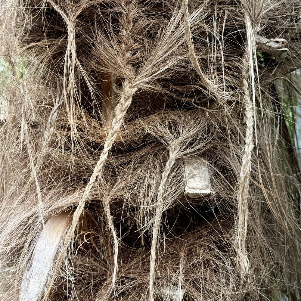 Natural Fiber — hemp, palm and plant-based fiber texture