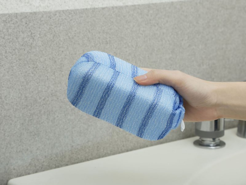 Shower Sponge