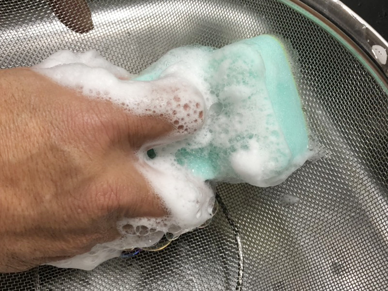 Torepika Sponge (Professional)